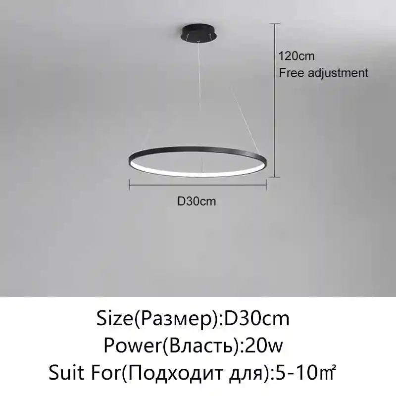 Modern LED Ring Light – Minimalist Dimmable Chandelier for Studio Black 30cm Tidesmit