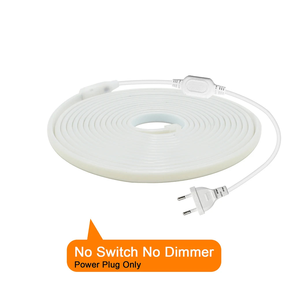 COB LED neon strip kit with EU plug, power-only cable, no switch no dimmer