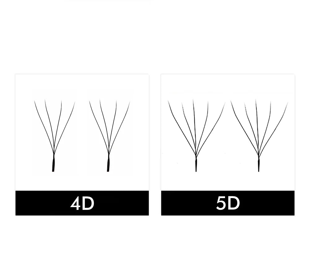Two boxes showing black W-shaped eyelash extension fans, labeled 4D and 5D to show volume differences.