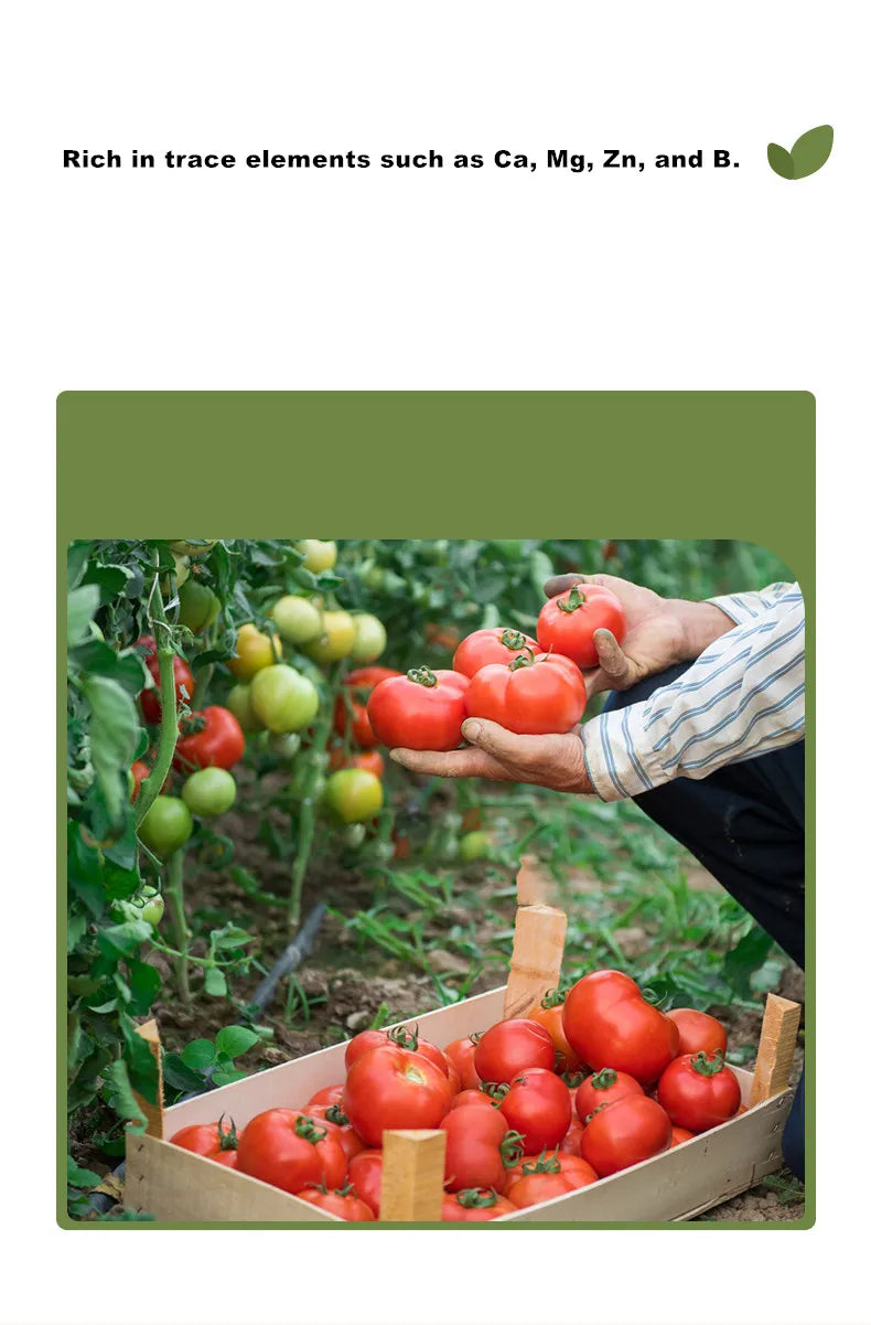 350g natural potassium magnesium of sulphate fertilizer Vegetable and fruit universal water-soluble organic fertilizer