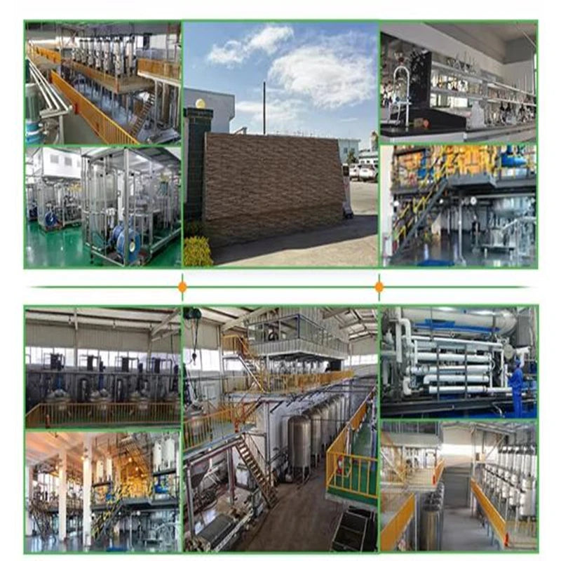 No.886,Schisandra Chinensis Extract Powder 50:1 Factory Specialize Customized Bags Packaging for Fast Global Delivered