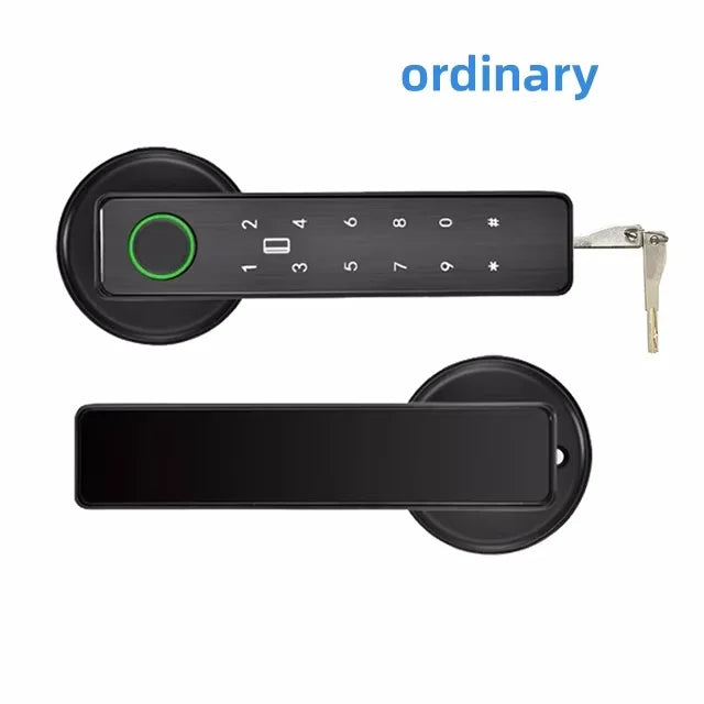 Tuya APP Remote Control Wifi Electronic Smart Door Lock With Biometric Camera Fingerprint Smart Card Password Key Unlock