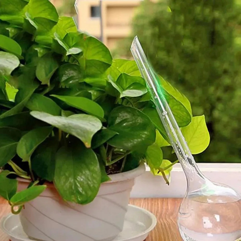 12 Pack Indoor Plant Watering Balls 13x5cm Automatic Self Watering System Transparent Globes for Potted Plants Watering Bulbs