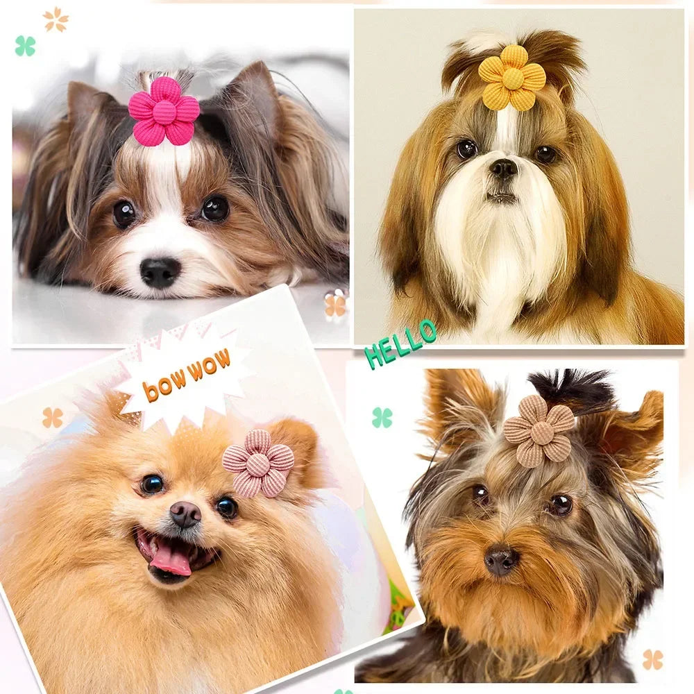Small dogs wearing cute flower-shaped hair bows with rubber bands for easy, stylish pet grooming and hair styling.