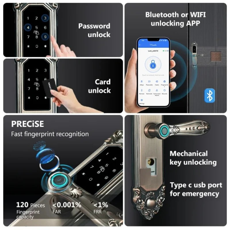 Competitive Price OEM&ODM TT Fingerprint Password Gold Handle Smart Door Handel Lock D30zm