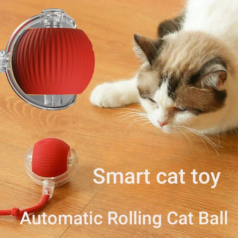 Red interactive smart cat ball toy, rechargeable automatic rolling toy for engaging kitten exercise and entertainment.