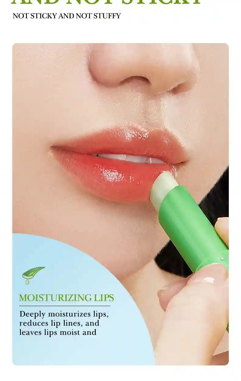 Moisturizing Lip Balm Set - 24pcs Hydrating Lip Treatment Lip Care Tidesmit