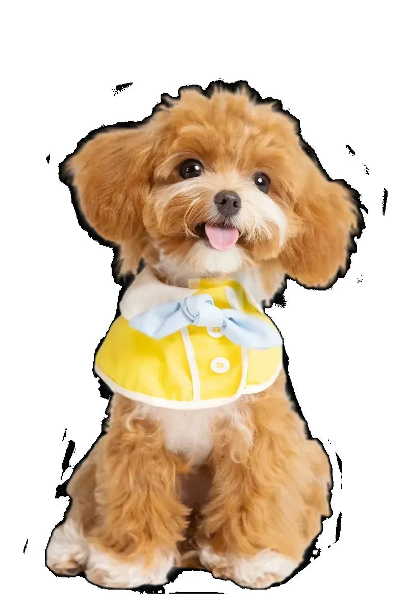 Tidesmit Commercial Self-Service Pet Car Washing Machine