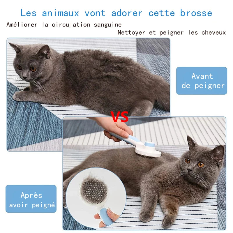 Self-cleaning slicker brush grooming a grey cat to remove loose fur and tangles for healthy pet coat.