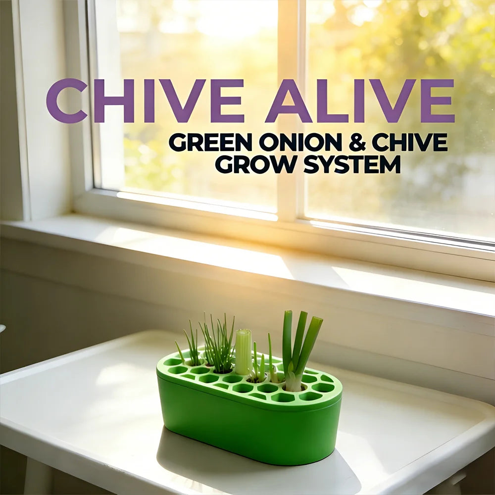 Green Onion Regrow Kit Easy Home Gardening for Balcony Windowsill Fast Regrowth Continuous Harvest