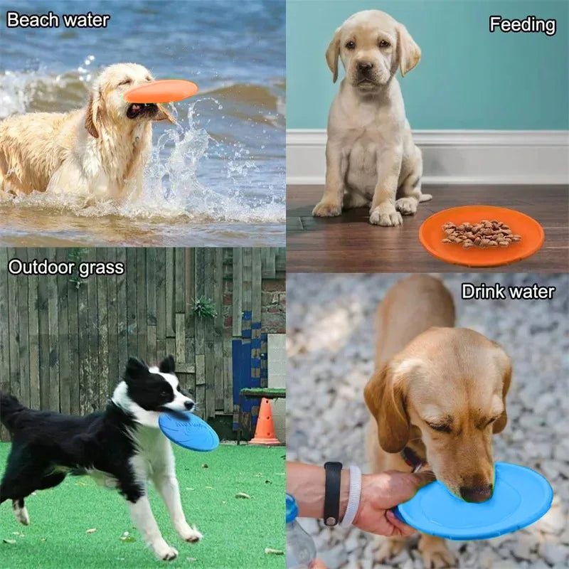 22cm chew-resistant silicone dog frisbee. Multipurpose flying disc for outdoor play, feeding, and water on the go.