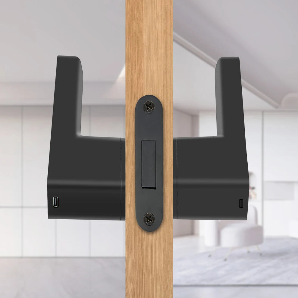 European Handle Door Fingerprint Lock Hidden Keyhole Tuya for Bedroom Study Magnetic One-word Minimalist Ecological Silent Lock