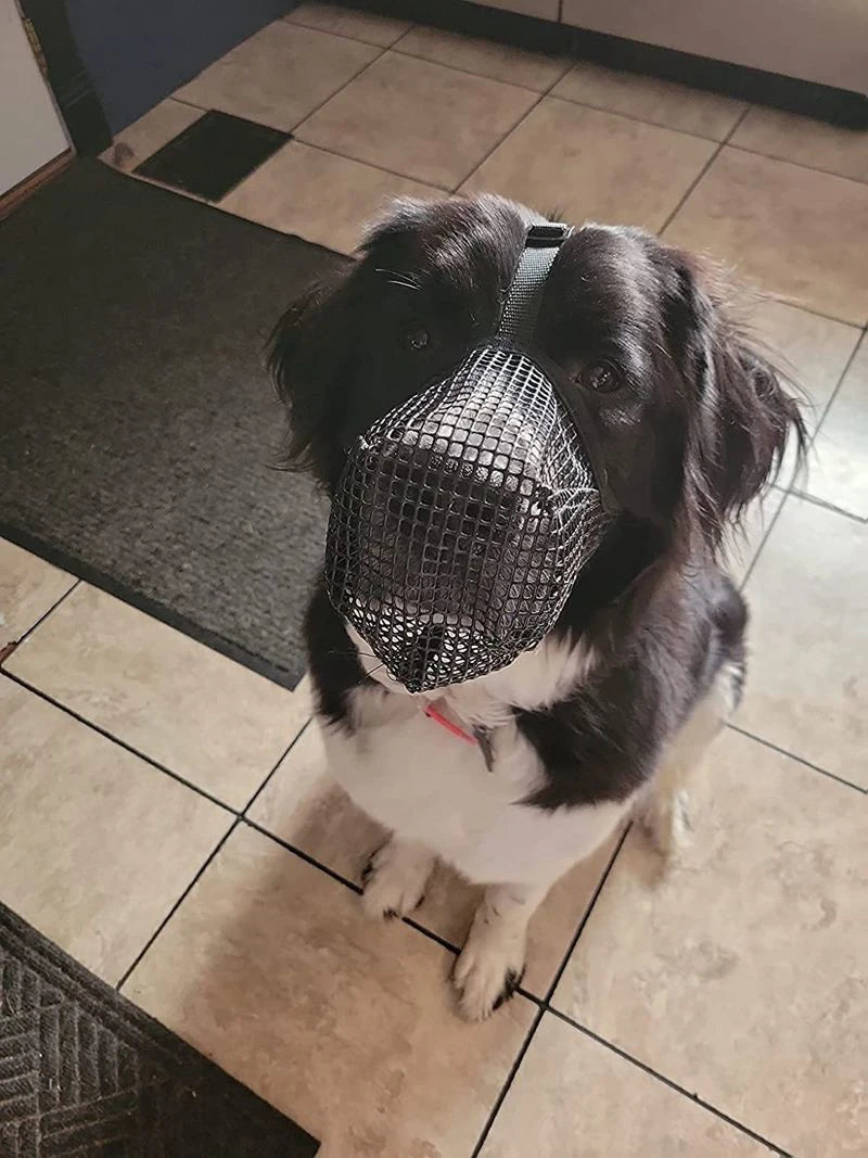 Black breathable mesh dog muzzle for bite prevention, allows drinking, adjustable fit for medium to large dogs.