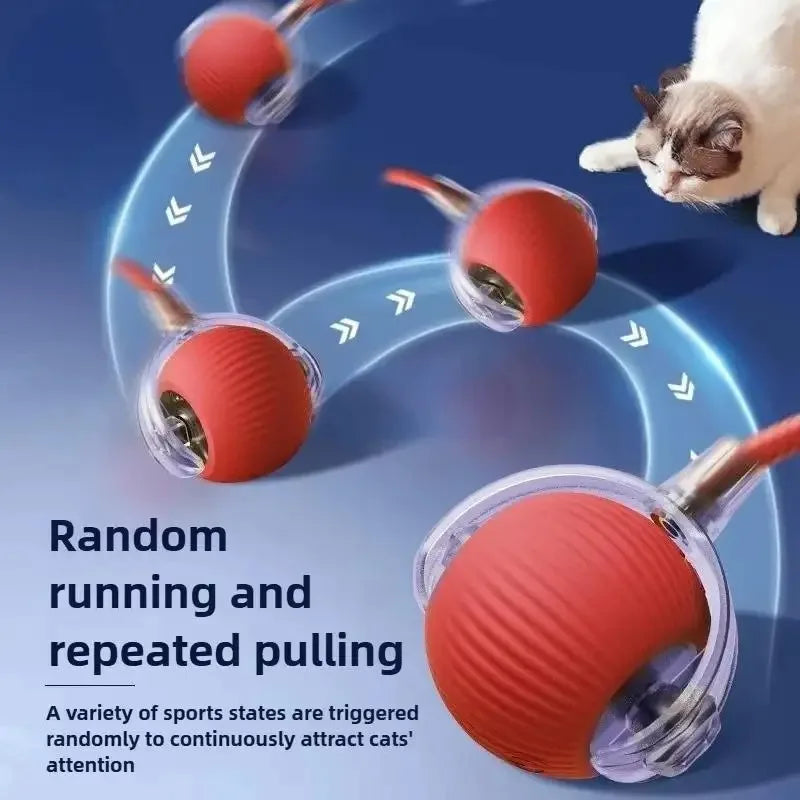 Red rechargeable interactive smart ball toy for cats. Automatic rolling motion keeps kittens engaged and active.