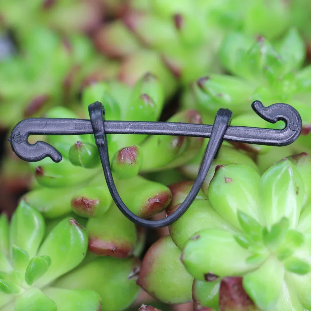 Black plant lashing hook clips with curved wavy ends