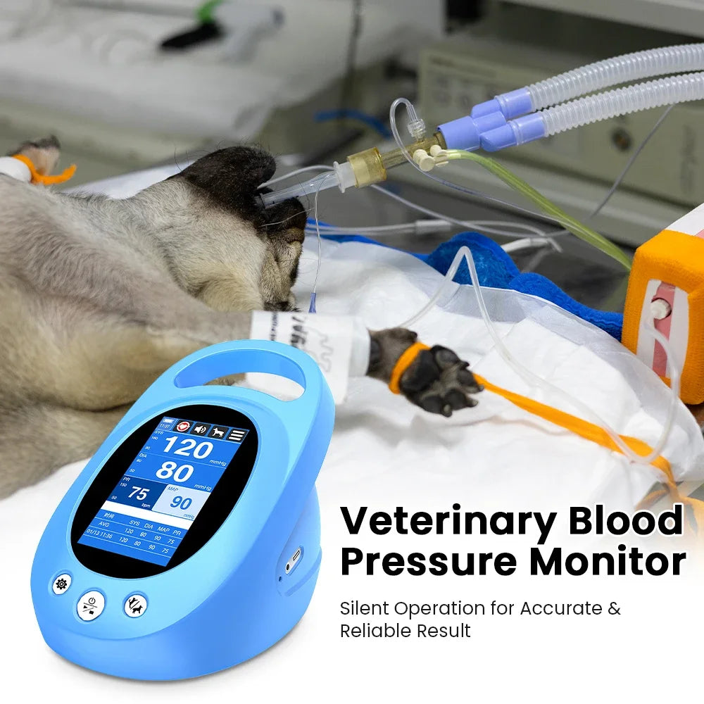 Portable Pet Blood Pressure Monitor with 4.3 Inch IPS Display and Touch Screen for Veterinary Use NIBP Tension Meter