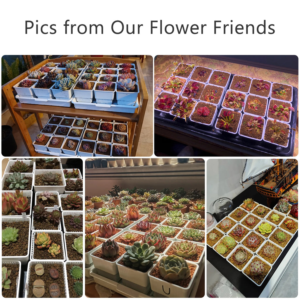 Meshpot Succulent Pot Plastic Flower Pot Cactus Lithops Planter Container Seedlings Nursery Garden Supplies Home Decoration