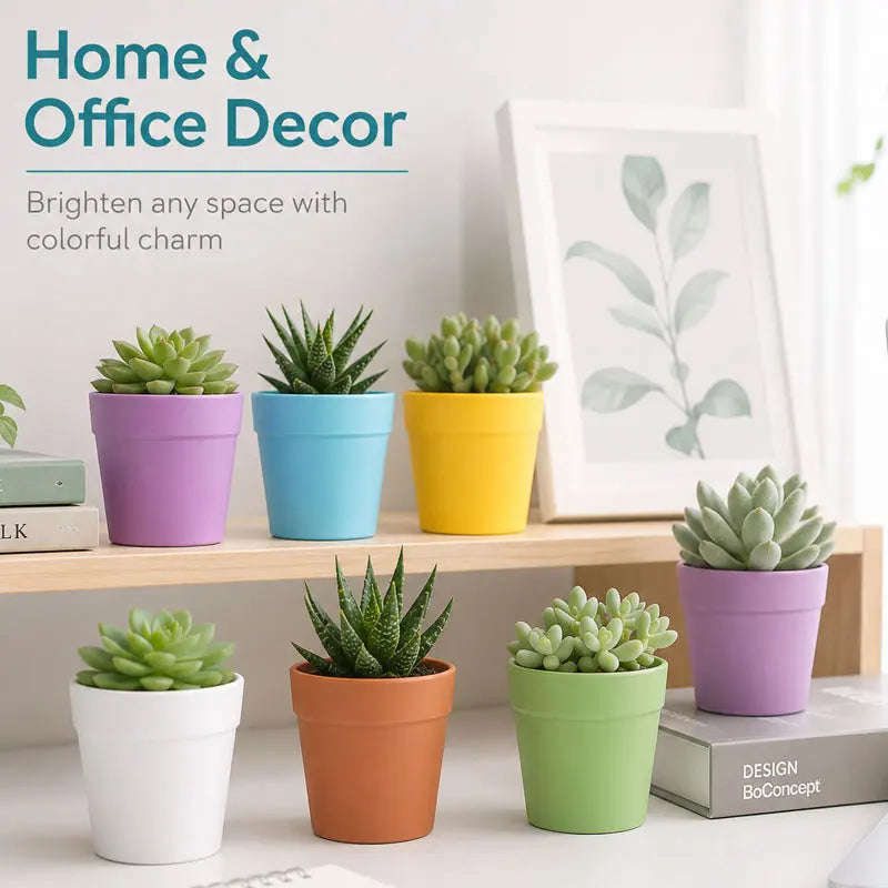Group of colorful mini plastic succulent pots on a shelf, purple, blue, yellow, orange, white and green