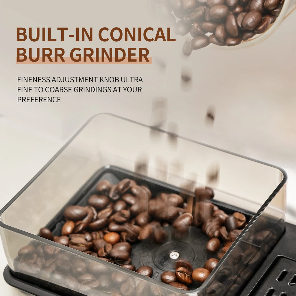 Clear coffee bean hopper on a coffee maker with built-in conical burr grinder for adjustable grind settings.