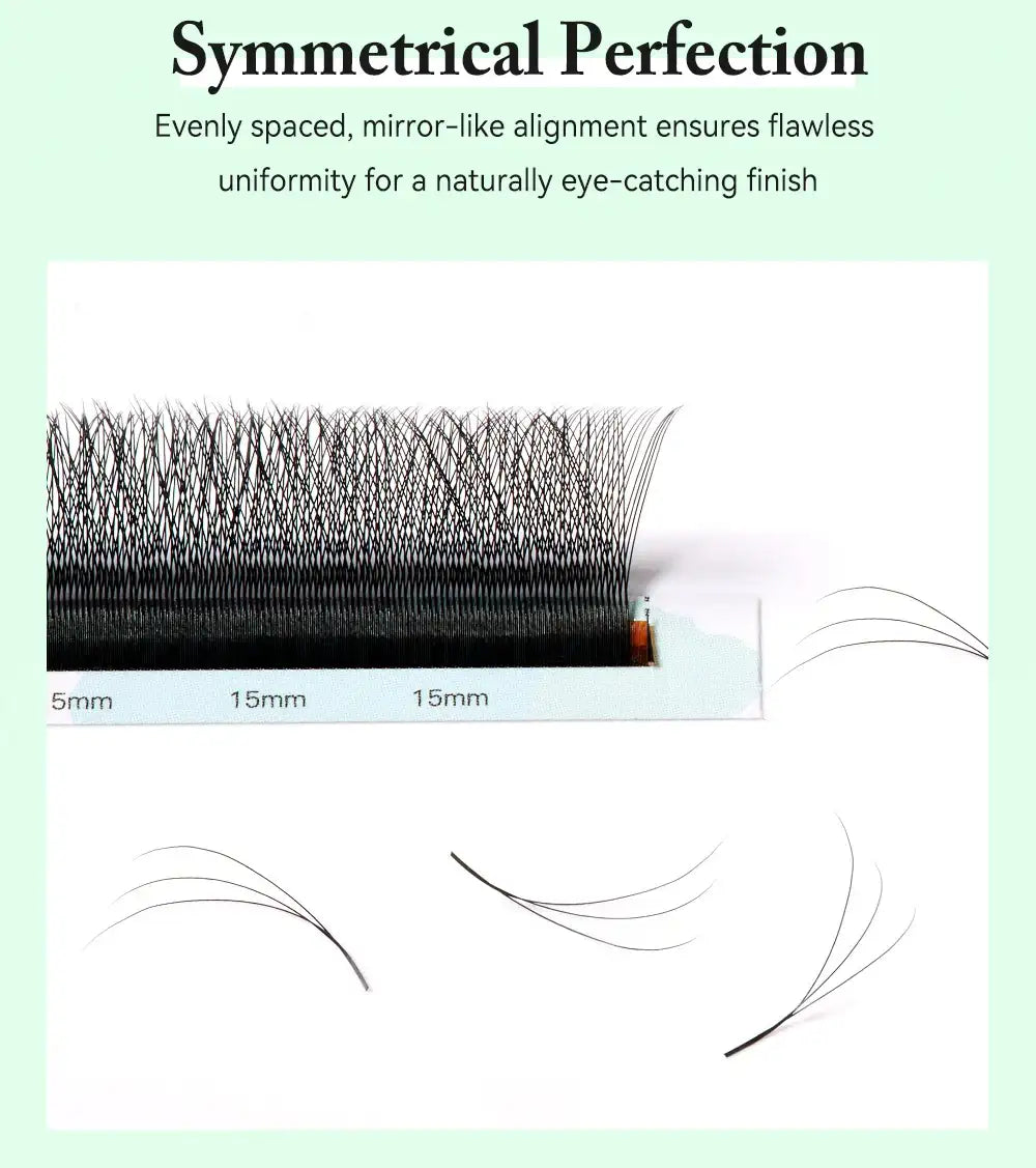 Black Yelix 3D W-shape premade volume eyelash fans on a strip with natural, soft spacing and uniform alignment.