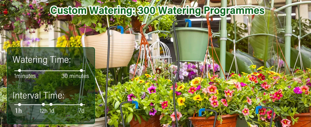 Solar drip irrigation kit delivering water to potted flowers with thin tubing