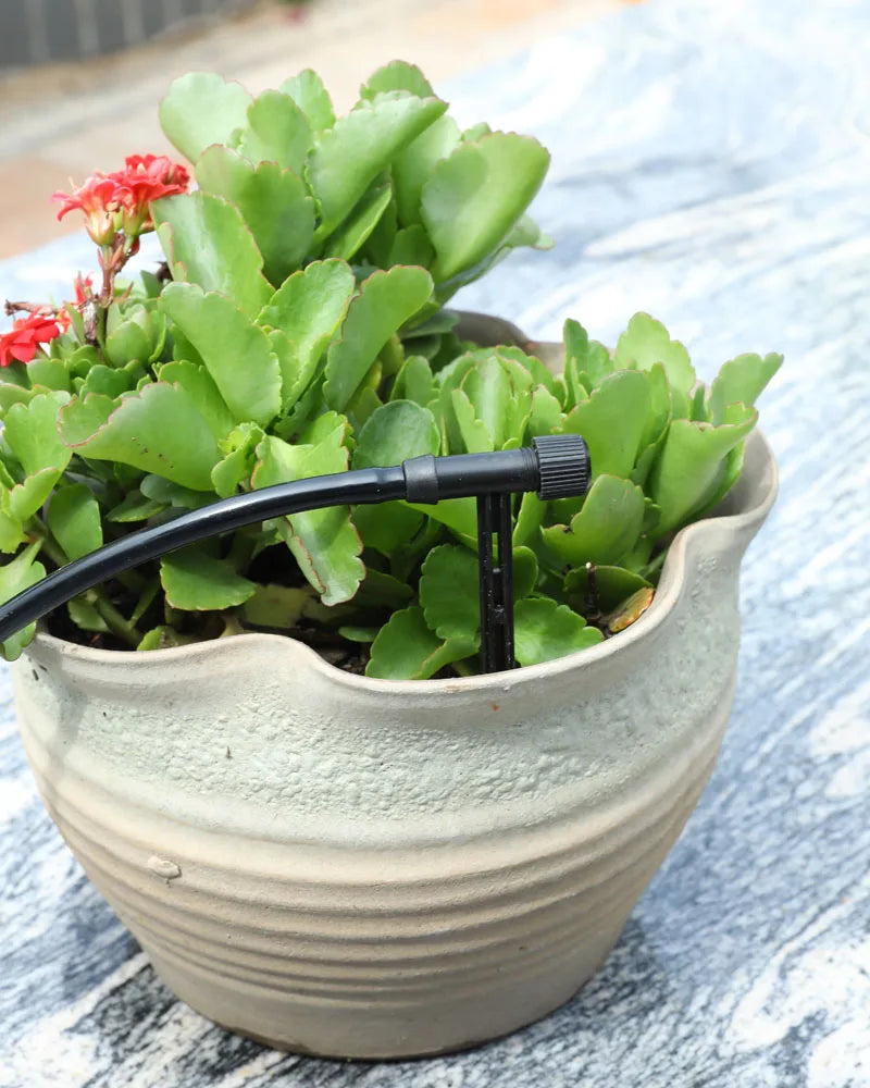 Garden drip irrigation kit with black adjustable dripper and hose in a potted plant