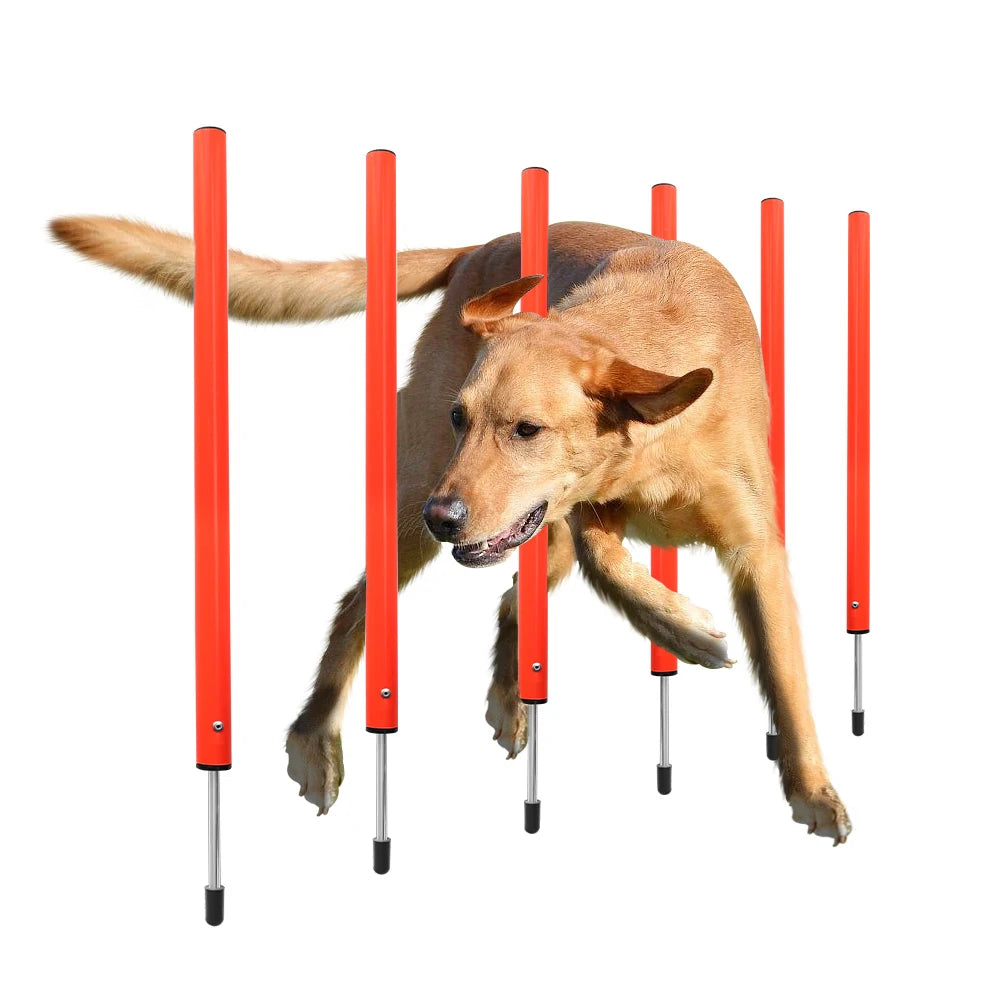 Dog agility training set with orange weave poles for portable outdoor exercise and dog jumping practice.