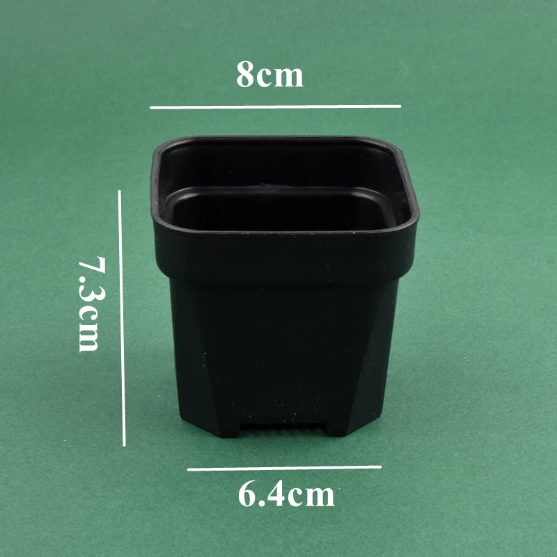 Black square flower pot planter for succulents, 7.3cm tall, 6.4cm wide