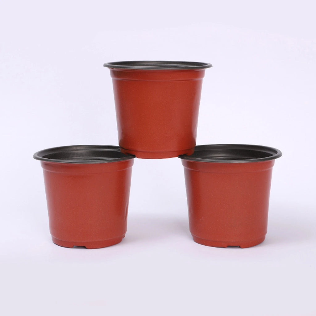 Three red plastic nursery pots with black rims, drainage holes at base