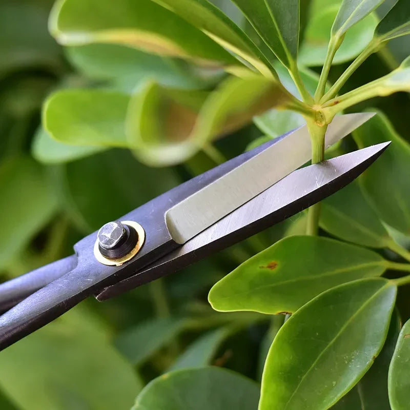 Professional Steel Long Handle Bonsai Scissors Plant Branch Shears Gardening Pruning Bonsai Scissors Flowers Plant Grafting Tool