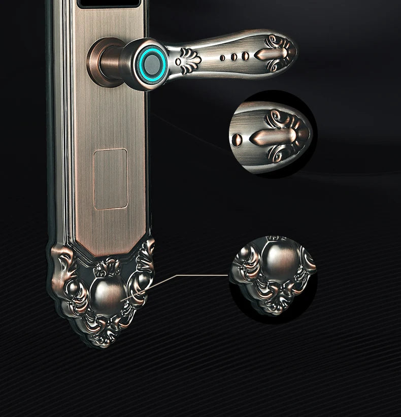 Competitive Price OEM&ODM TT Fingerprint Password Gold Handle Smart Door Handel Lock D30zm