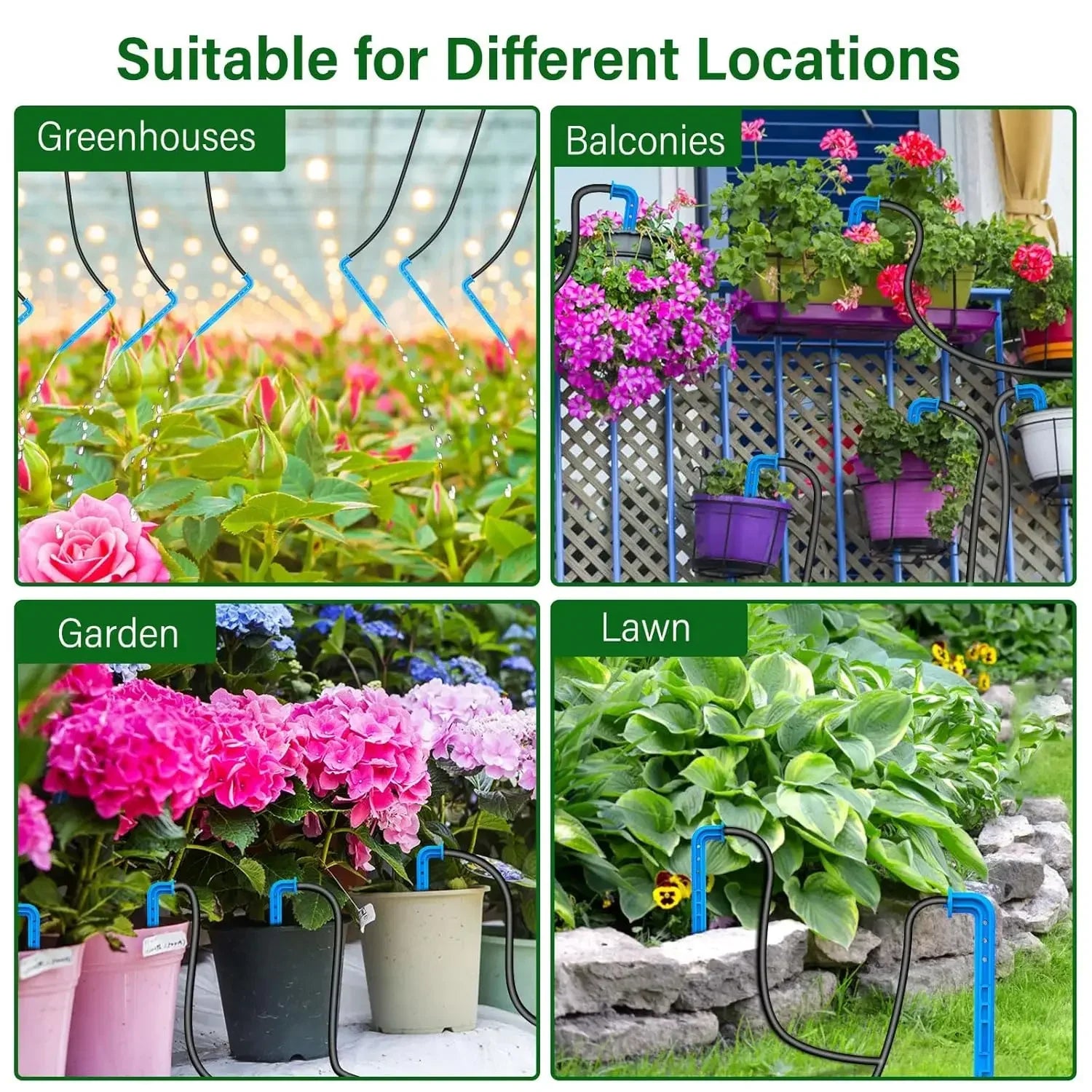 Solar drip irrigation system with blue hoses for greenhouses, balconies, gardens, and lawns