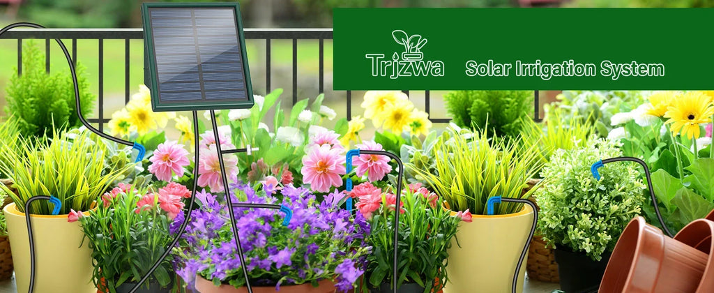 Solar irrigation system with solar panel on stand and blue drip lines watering garden plants