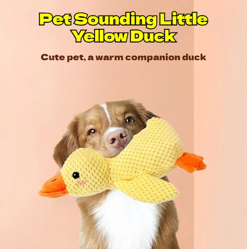 Dog holding a bite-resistant, yellow plush duck toy for interactive play and boredom relief.