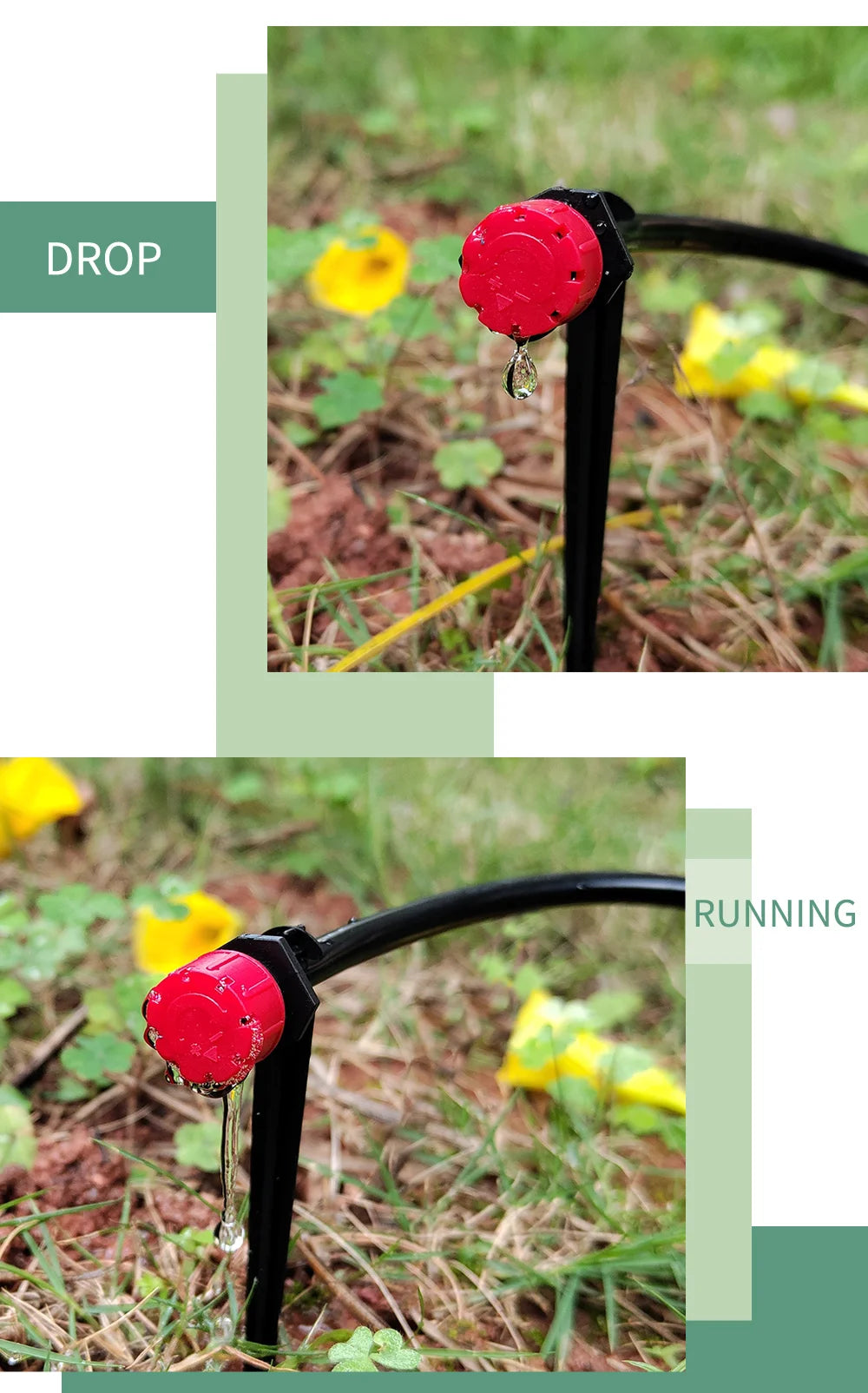 Red dripper showing drop and running water patterns on a black stake