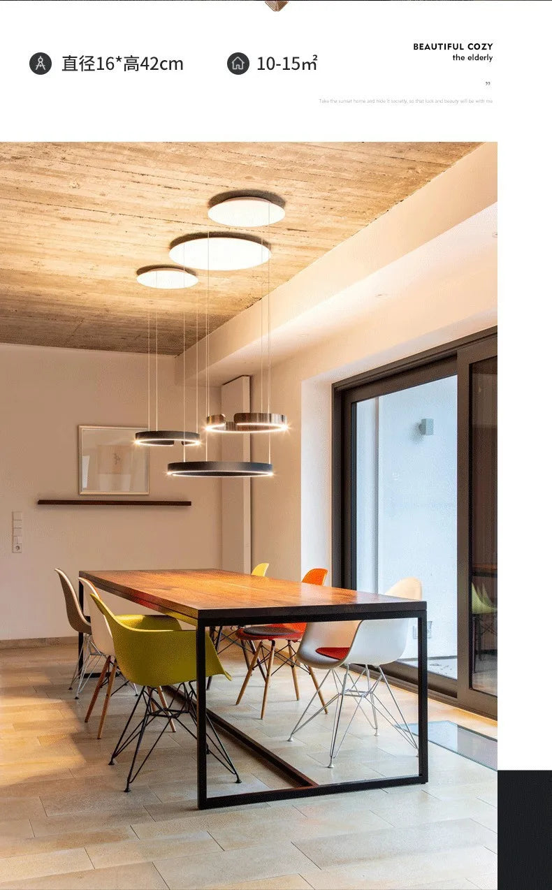 Modern LED Ring Ceiling Chandelier 60cm Black - Minimalist Decor Tidesmit