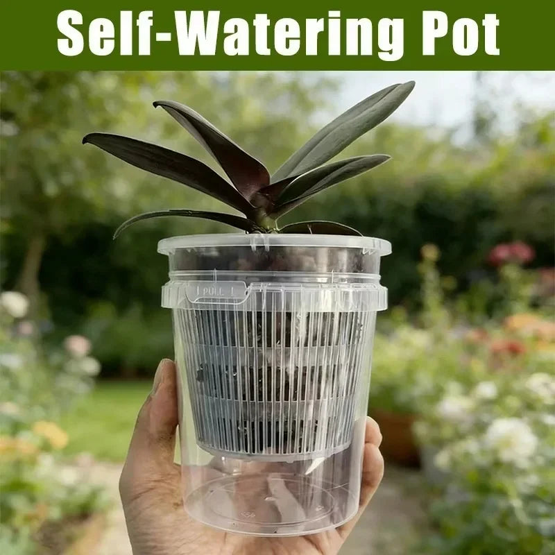 Hand holding a clear self-watering orchid pot with detachable inner mesh basket