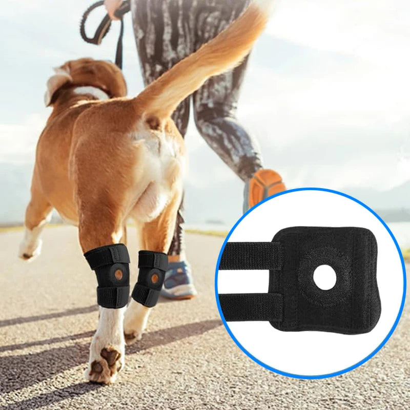 Dog wearing breathable black hock joint knee pads for injury recovery and leg support while walking.