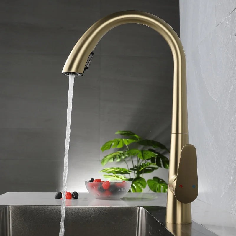 Stainless Steel Gold Kitchen Faucet Brushed Gold Kitchen Hot and Cold Water Faucet Washbasin Sink Faucet