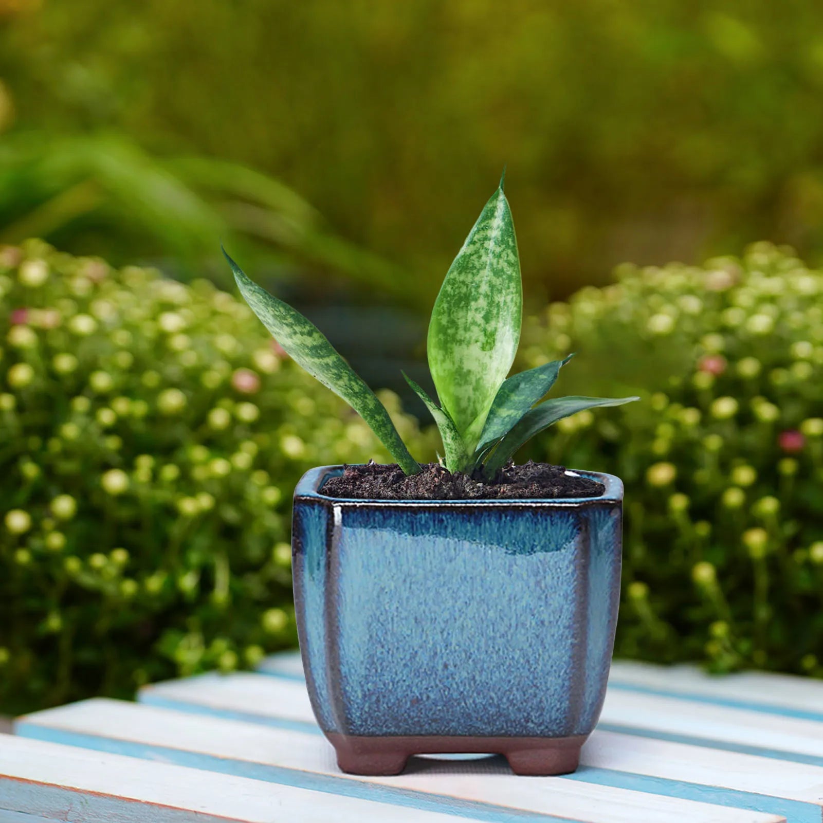 Blue ceramic succulent pot with three side legs and a small vent hole