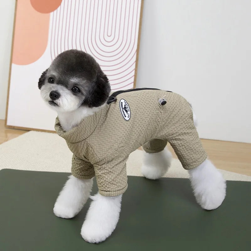 Small dog wearing a tan waterproof winter jumpsuit for warmth and protection during outdoor walks.