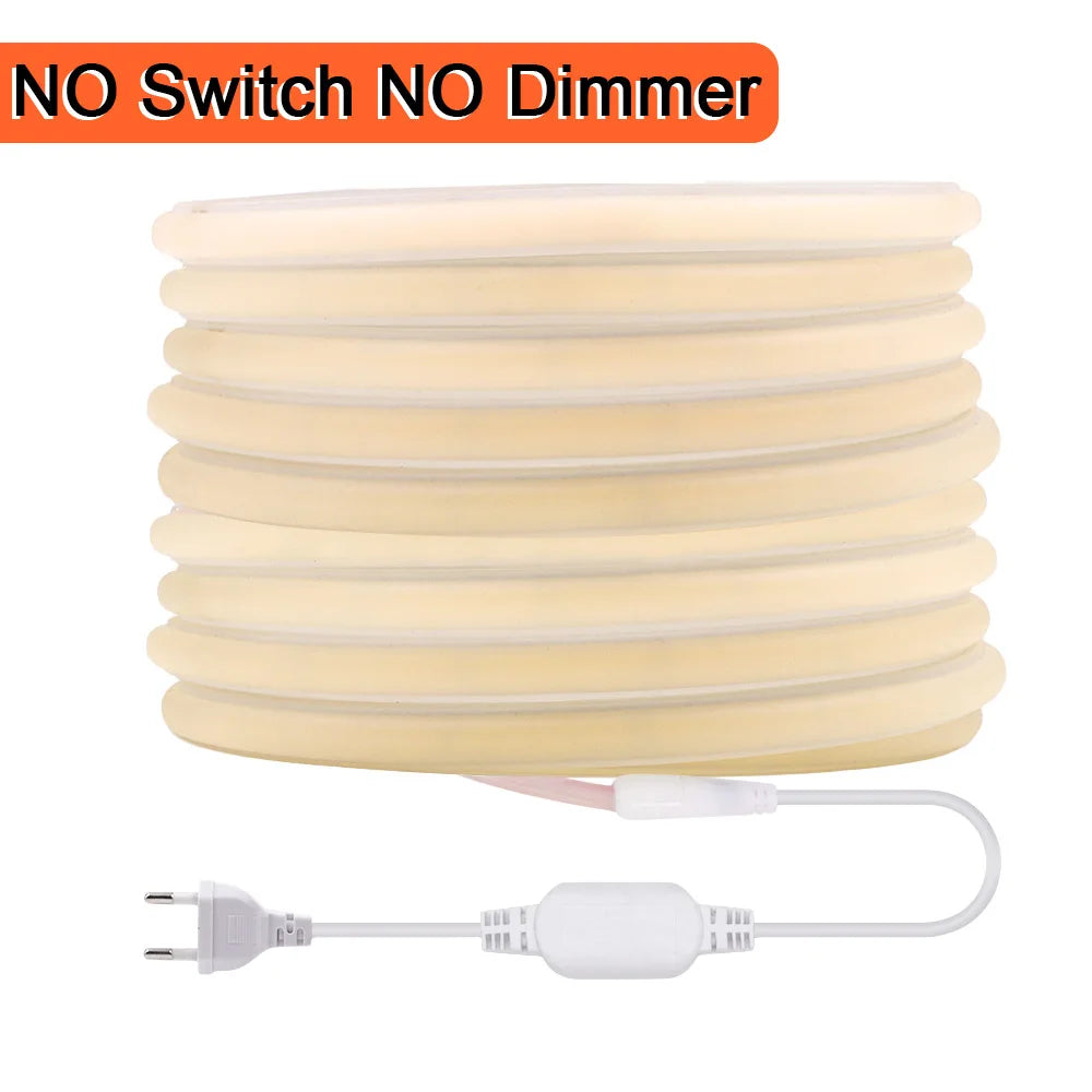 LED neon strip light without switch or dimmer, coiled flexible strip with power cord