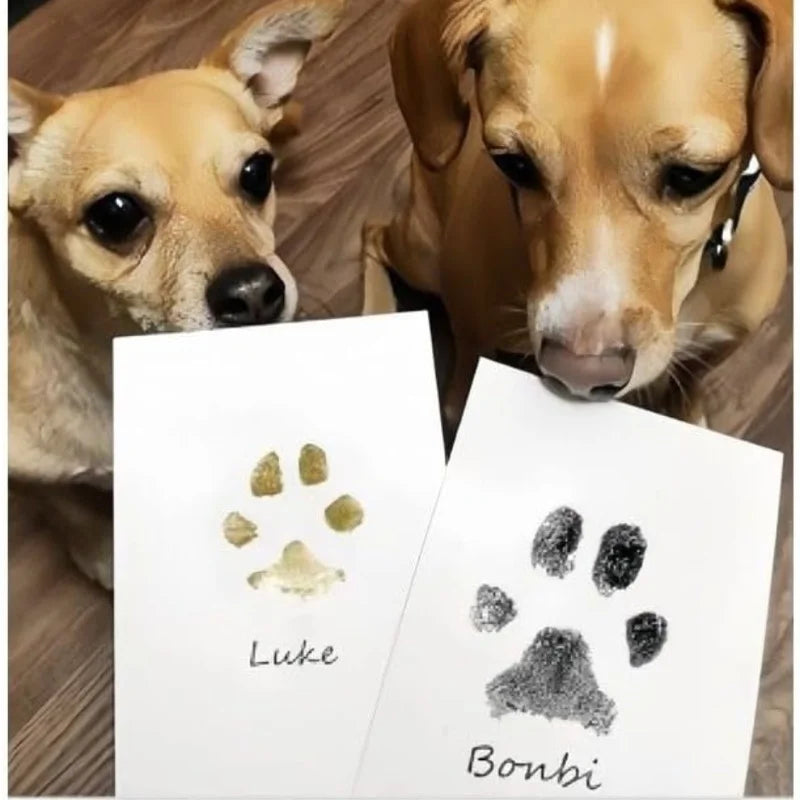 Two dogs with non-toxic, inkless paw print souvenir kits for a clean, safe pet memory keepsake.