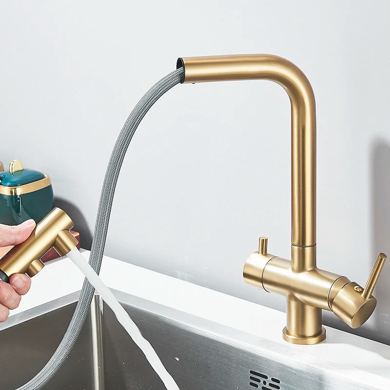 Filtered Kitchen Faucet Brass Purifier Faucet Dual Sprayer Drinking Water Mixer Tap Nozzle Sink Mixer Kitchen Gold Tap