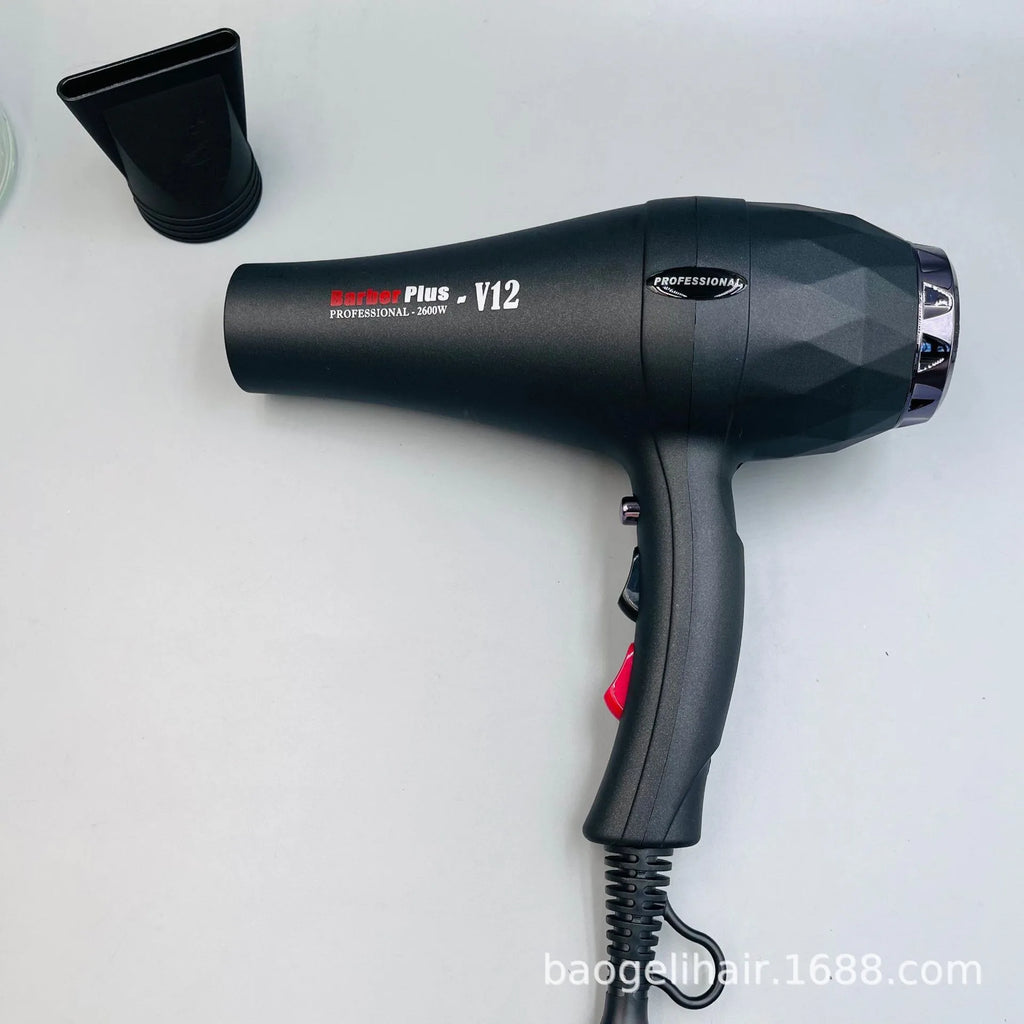 Black 2600W professional hair dryer with concentrator nozzle, negative ion technology, and salon-grade design.