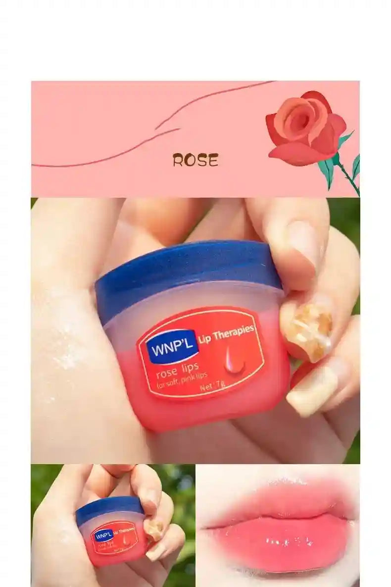 Moisturizing Lip Balm Set - Cruelty-Free Plant Oil Lip Care by Tidesmit Lip Care Tidesmit
