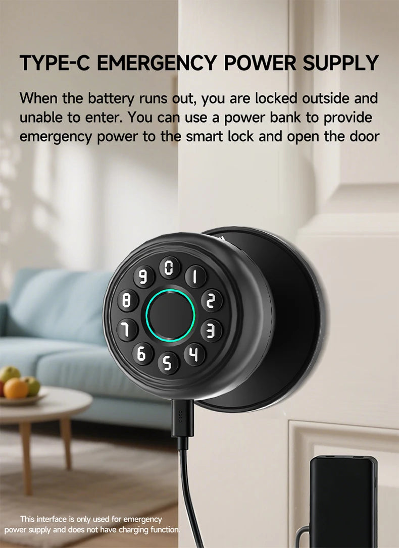 ICCSSI K10CPLUS Smart Lock Tuya Spherical Door Lock Tuya Fingerprint Password Key 4-in-1 Unlock for Airbnb Home Aluminum Alloy