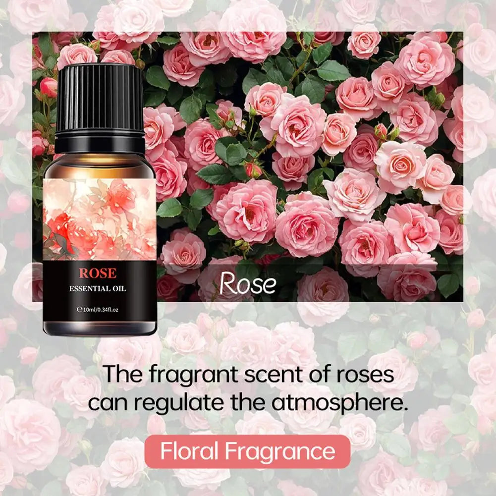 Aromatherapy Essential Oil 10ml Lemon Eucalyptus Lavender Eucalyptus Jasmine Rose Mint Orange Aroma Essential Oil