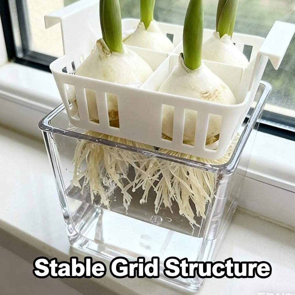 5/1PCS 4 Grids Flower Pot for Hydroponic Tulips Acrylic Breathable Hydroponic Containers for Indoor Gardening Planting Container