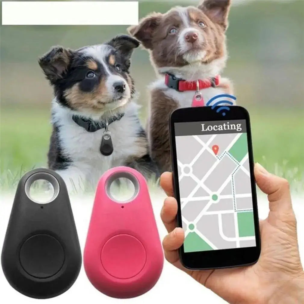 Mini GPS tracker for dogs on collar, bluetooth smart tag with phone app location tracking for pet safety.